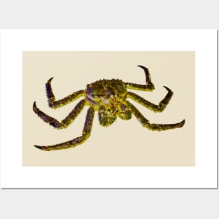 King Crab Posters and Art